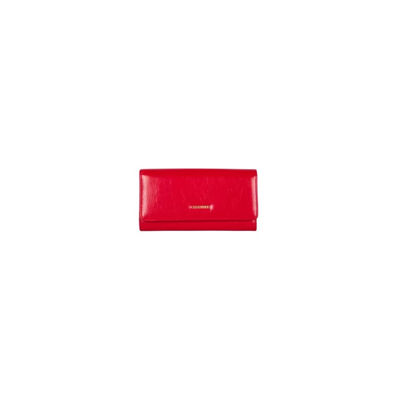 Cartera Broche