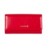 Cartera Broche