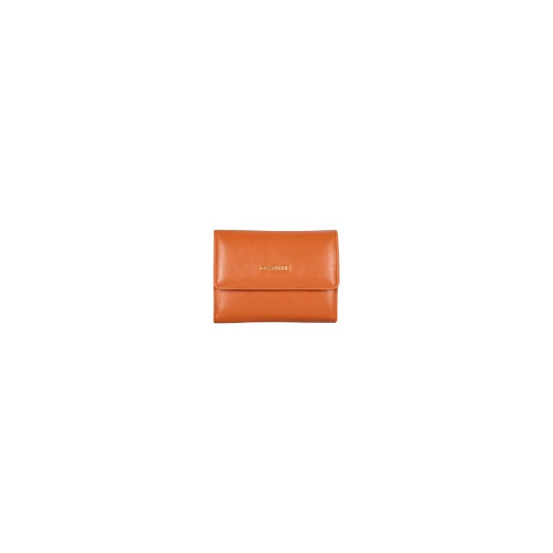 Cartera Broche