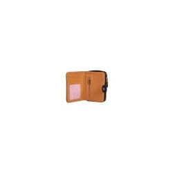 Cartera Broche