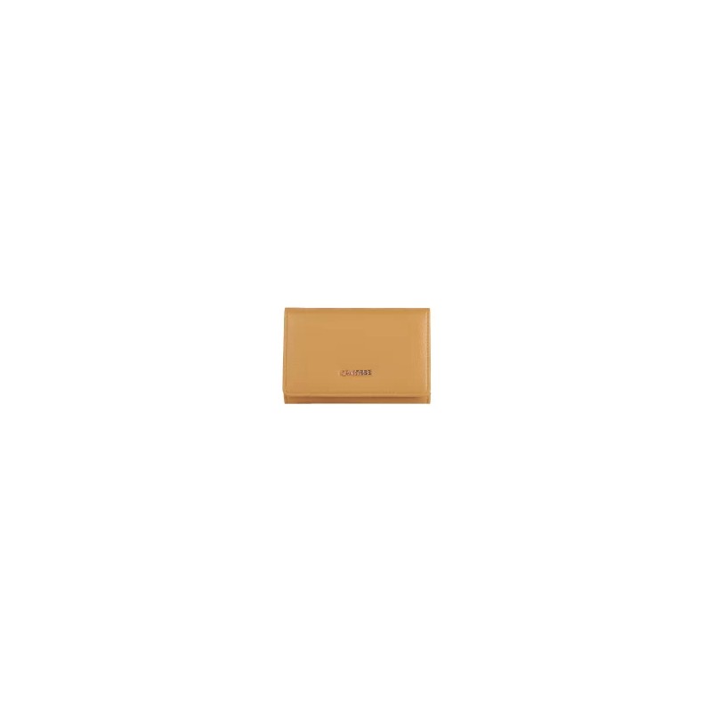 Cartera plegable