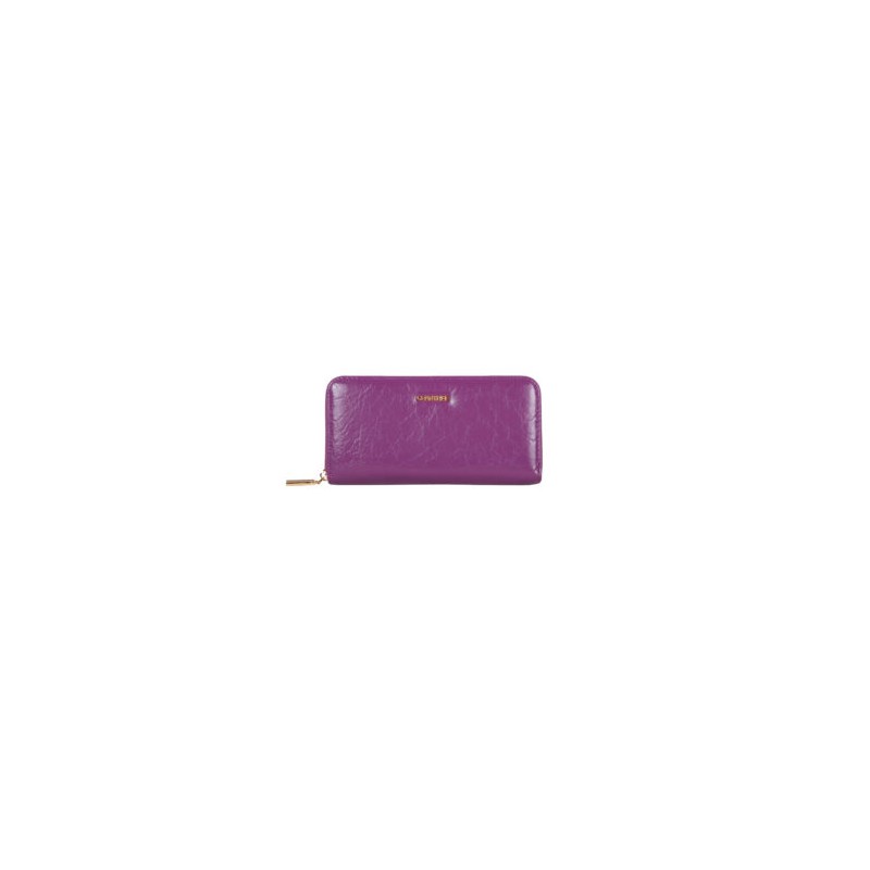 Cartera Sencilla