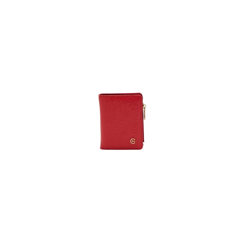 Cartera tarjetero