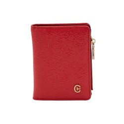 Cartera tarjetero